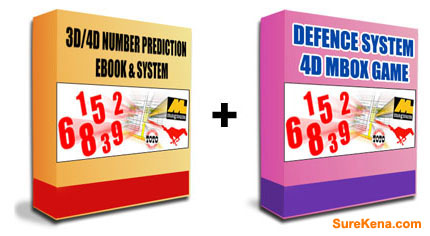Malaysia 3D/4D Lottery Course Basic Level